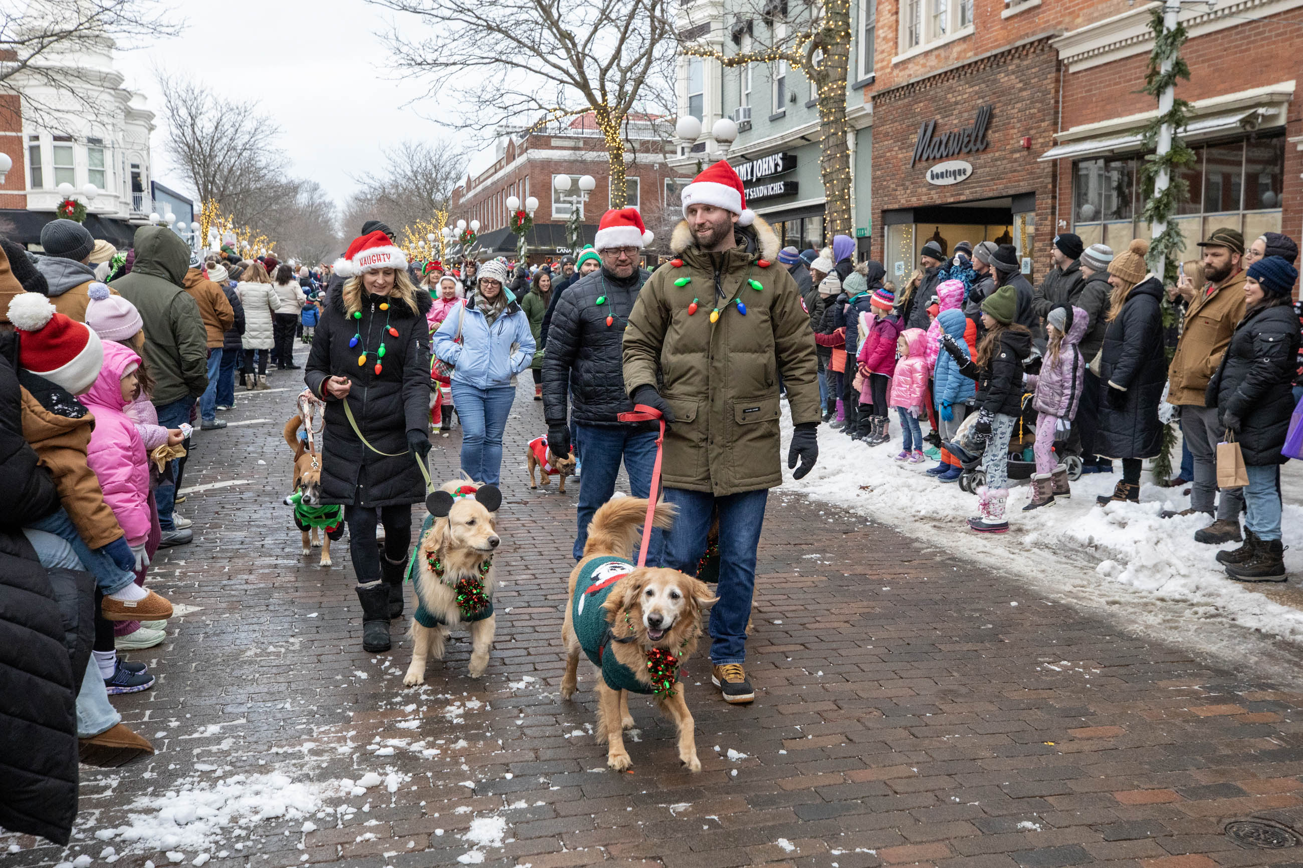 Reindog Parade | St. Joe Today